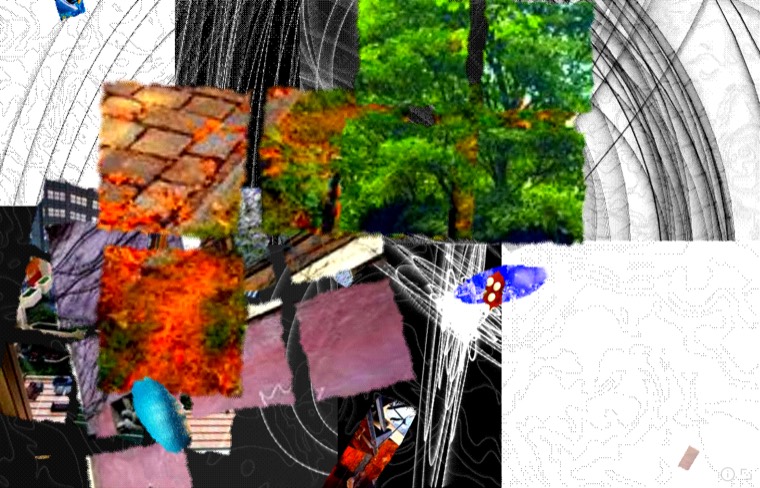 Photographs torn into rectangular, round and many-sided shards across the plate